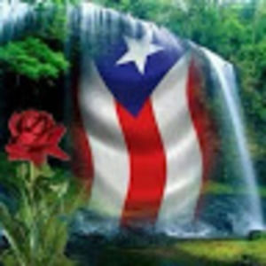 Meet your Posher, Leishka